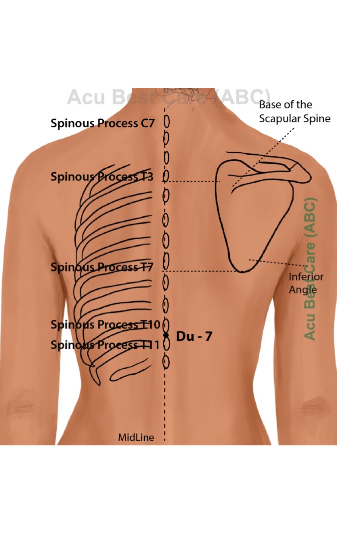 Acubestcare Meridian DU-07