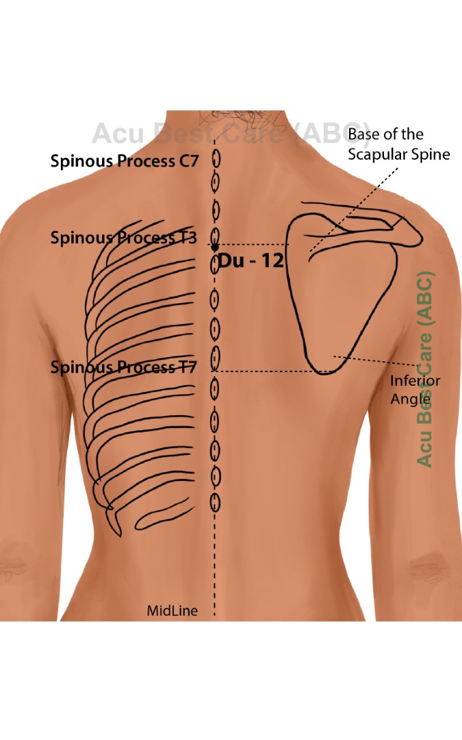 Acubestcare Meridian DU-12