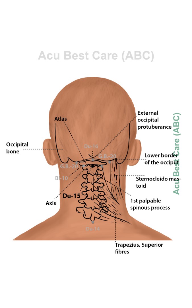 Acubestcare Meridian DU-15
