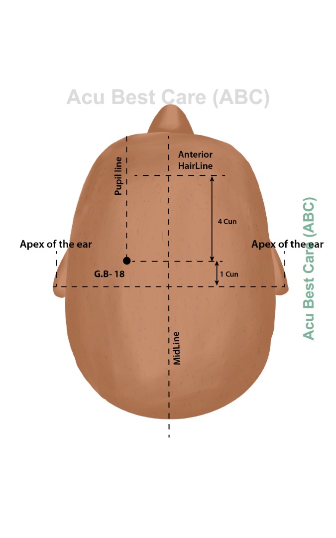 Acubestcare Meridian GB-18