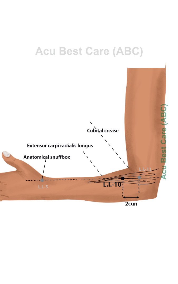 Acubestcare Meridian LI-10