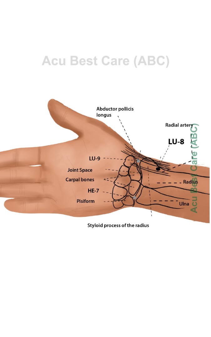 Acubestcare Meridian LU-08