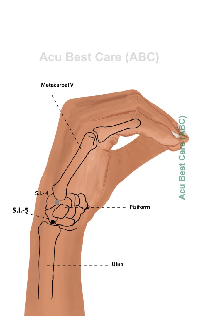 Acubestcare Meridian SI-05