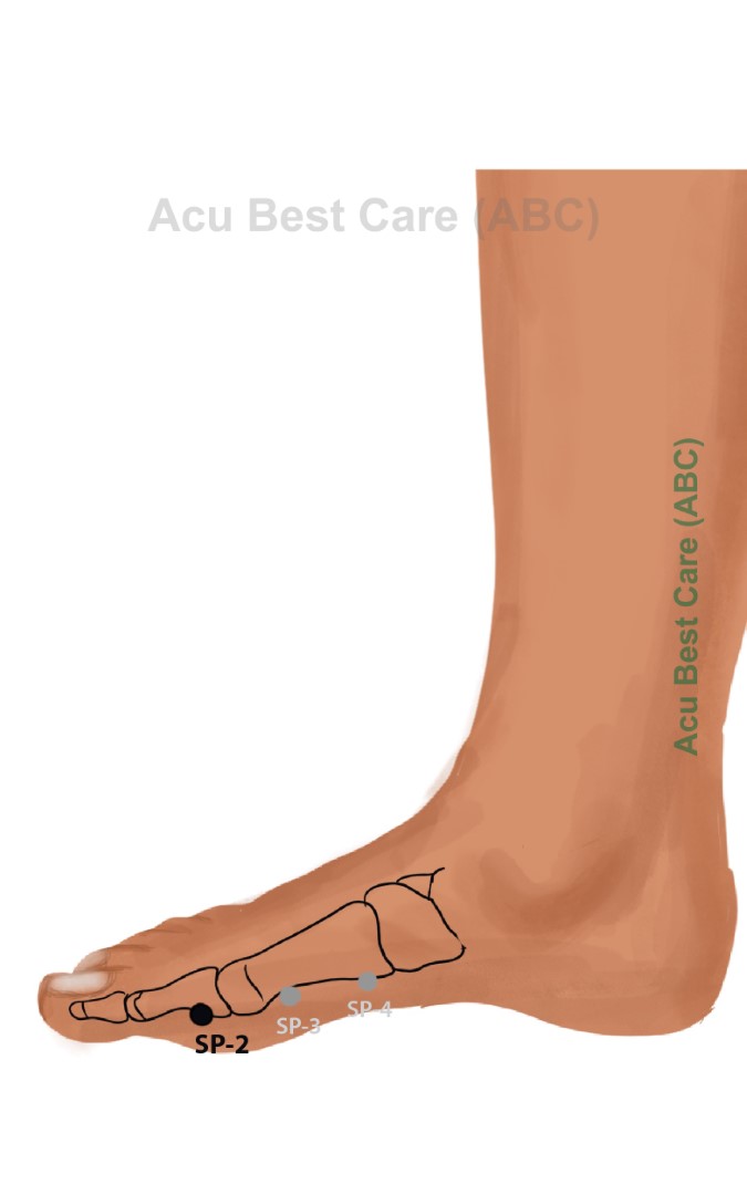 Acubestcare Meridian SP-02