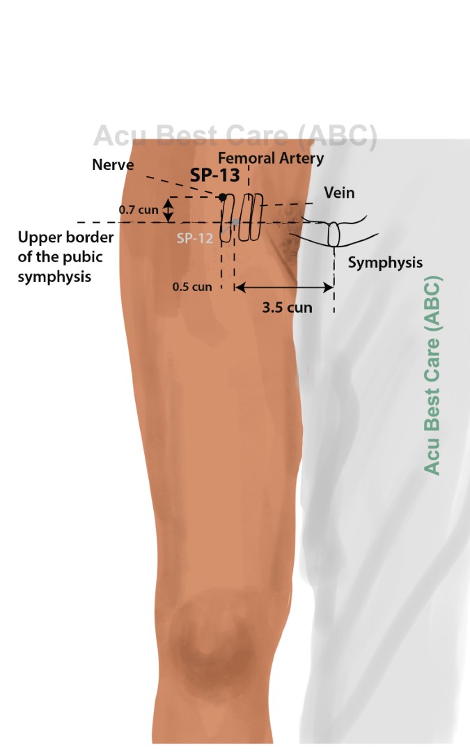 Acubestcare Meridian SP-13